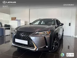 Gris Usado 2019 Lexus UX 250h Business Edition SUV | 23.500 € (Precio justo)