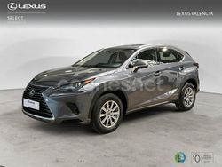Gris / plata Usado 2020 Lexus NX300h Business Edition SUV | 30.450 € (Caro)