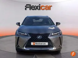 Amarillo Usado 2019 Lexus UX 250h Executive Line SUV | 19.490 € (Super precio)