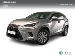 Gris Usado 2019 Lexus NX300h Business Edition SUV | 32.900 € (Caro)