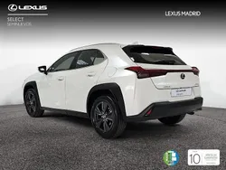 Blanco Usado 2025 Lexus UX SUV | 36.990 € (Caro)