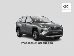 Negro Usado 2021 Toyota RAV4 Hybrid Edition SUV | 31.890 € (Caro)