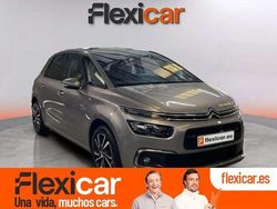 Gris Usado 2018 Citroën C4 Rip Curl Monovolumen | 8990 € (Super precio)