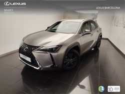 Otro Usado 2025 Lexus UX SUV | 35.900 €