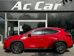 Rojo Usado 2022 Lexus NX350h Business Edition SUV | 41.900 € (Caro)