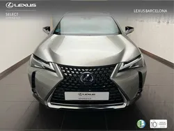 Otro Usado 2021 Lexus UX Business Edition SUV | 26.900 € (Buen precio)