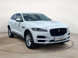 Blanco Usado 2016 Jaguar F-Pace Pure SUV | 14.990 € (Super precio)