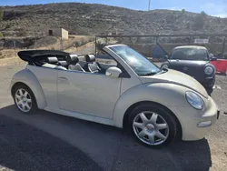 VW Beetle