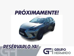 Gris Usado 2019 Lexus NX300h Business Edition SUV | 26.500 € (Precio justo)