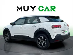 Blanco Usado 2020 Citroën C4 Cactus Feel Utilitario | 13.490 € (Precio justo)