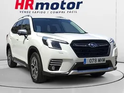 Usado 2023 Subaru Forester SUV | 24.100 € (Super precio)