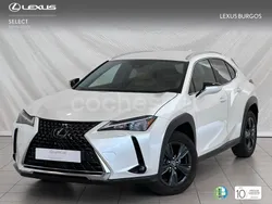 Blanco Usado 2023 Lexus UX SUV | 33.900 € (Un poco caro)