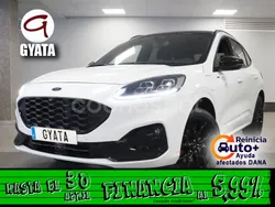 Blanco Usado 2023 Ford Kuga ST-Line X SUV | 28.990 € (Precio justo)