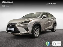 Gris Usado 2020 Lexus NX300h Business Edition SUV | 33.990 € (Un poco caro)