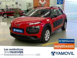 Rojo Usado 2016 Citroën C4 Cactus Feel Utilitario | 8950 € (Precio justo)