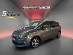 Gris Usado 2018 Citroën C4 Live Monovolumen | 15.490 € (Caro)