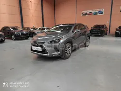 Beige Usado 2020 Lexus NX300h SUV | 31.950 € (Precio justo)