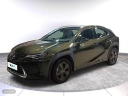 Verde Usado 2019 Lexus UX Luxury Line SUV | 31.900 € (Caro)