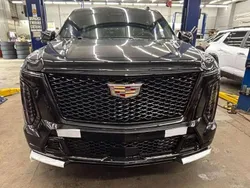Negro Nuevo 2025 Cadillac Escalade SUV | 295.000 €