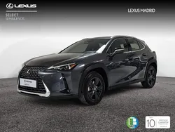 Gris Usado 2025 Lexus UX SUV | 36.990 € (Caro)