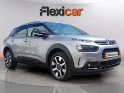Gris Usado 2019 Citroën C4 Cactus PureTech Utilitario | 11.690 € (Precio justo)