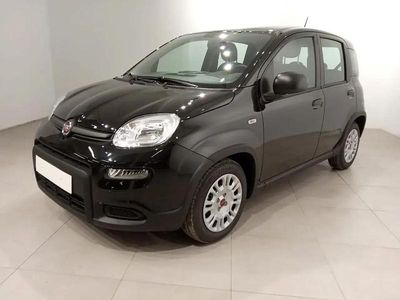 Occasion Fiat Panda 70 PK (51 kW) 2024 Zwart Hatchback