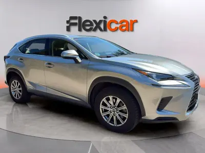 Usado Lexus NX300h Business Edition 197 CV (144 kW) 2021 Gris SUV