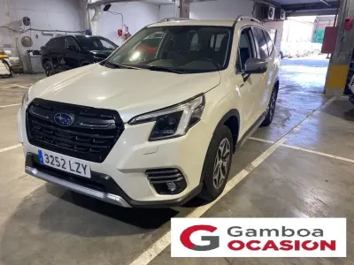 Usado Subaru Forester