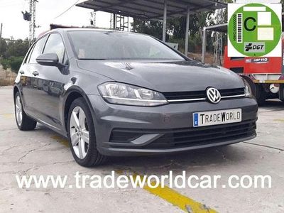 Usado VW Golf VII R-line 116 CV (85 kW) 2019 Marrón Utilitario