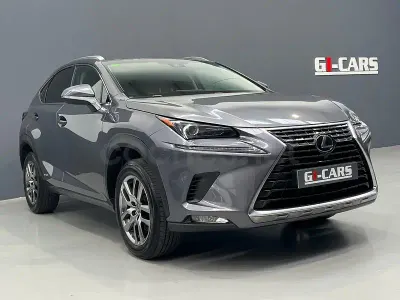 Usado Lexus NX300h Business Edition 197 CV (144 kW) 2018 Gris / plata SUV