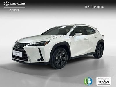 Usado Lexus UX 198 CV (145 kW) 2025 Blanco SUV