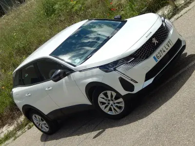 Brugt Peugeot 3008