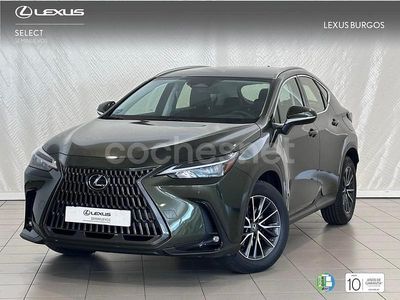 Verde Usado 2025 Lexus NX350h SUV | 50.900 € (Precio justo)