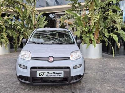 usado Fiat Panda 1.0 Gse City Live Hybrid