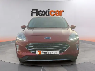 Usado Ford Kuga Titanium 150 CV (110 kW) 2019 Rojo SUV