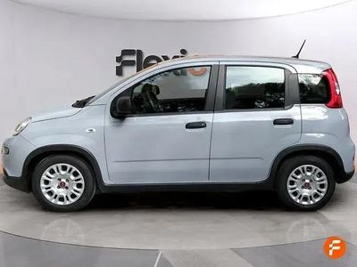 Usado Fiat Panda 70 HP (51 kW) 2023 Cinzento Citadino