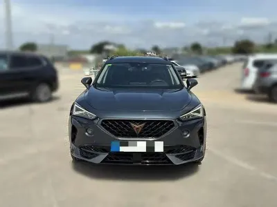 Usado Cupra Formentor