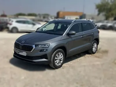 Usado Skoda Karoq