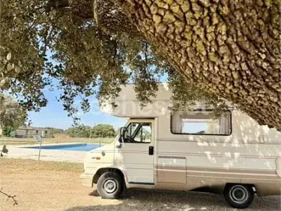 Usado Fiat Ducato 102 CV (75 kW) 1990 Beige Van