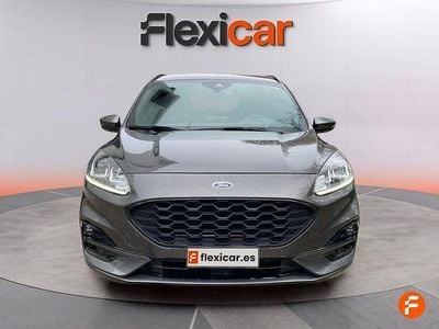 Usado Ford Kuga ST-Line 120 CV (88 kW) 2024 Gris SUV