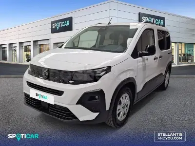 Usado Peugeot Rifter