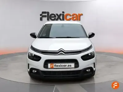 Usado Citroën C4 Cactus Feel 102 HP (75 kW) 2019 Branco Citadino