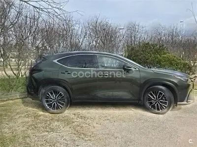 Usado Lexus NX450h+