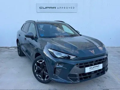Usado Cupra Terramar