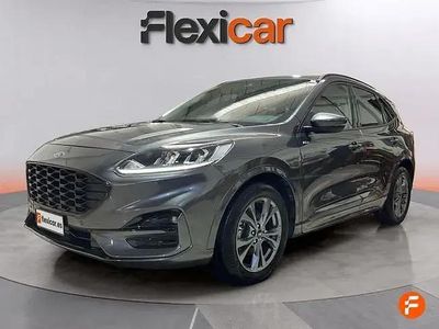 Occasion Ford Kuga ST-Line 120 PK (88 kW) 2024 Grijs SUV