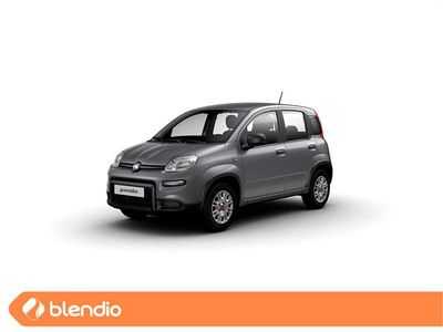 Usado Fiat Panda 69 CV (50 kW) 2023 Gris Utilitario
