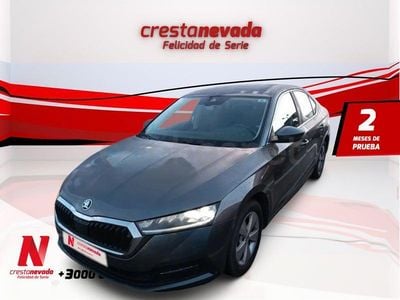 Usado Skoda Octavia Ambition 150 CV (110 kW) 2022 Gris / plata Berlina