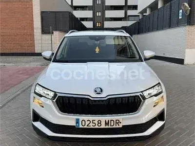 Usado Skoda Karoq