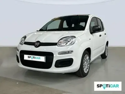 Nuevo Fiat Panda Icon 65 CV (47 kW) 2026 Blanco Utilitario