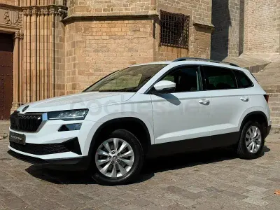 Usado Skoda Karoq